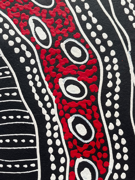 #162 Emu Dreaming (Red) - SHARON NUMINA : Aboriginal Art: 54x200cm