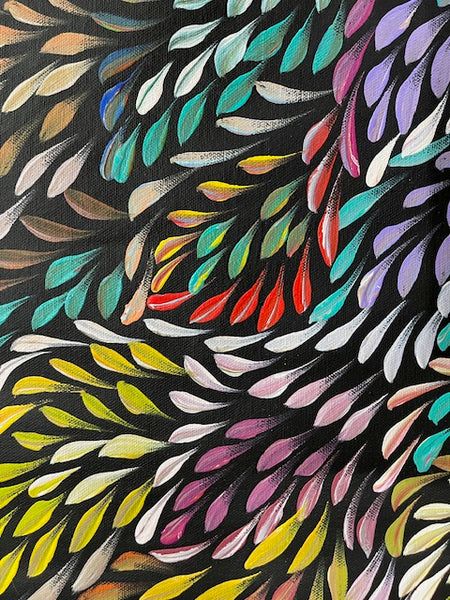 #338 Bush Medicine Leaves (Multi) - CAROLINE NUMINA : Aboriginal Art: 91cm x 150cm