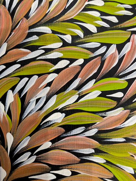 #395  Bush Medicine Leaves (Multi) - CAROLINE NUMINA : Aboriginal Art:  37cm x 27cm