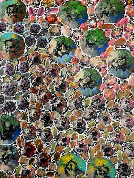 #246 Bush Yam Dreaming (Multi) - RACHAEL NAMBULA: Aboriginal Art 56cm x 200cm