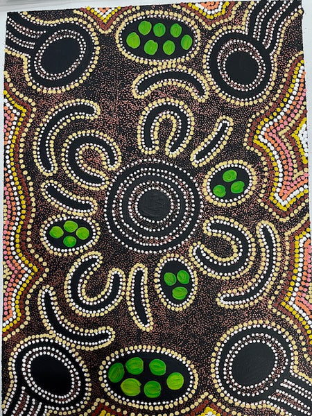 #386 Women's Ceremony (Earth) - CAROLINE NUMINA : Aboriginal Art:  41cm x 56cm