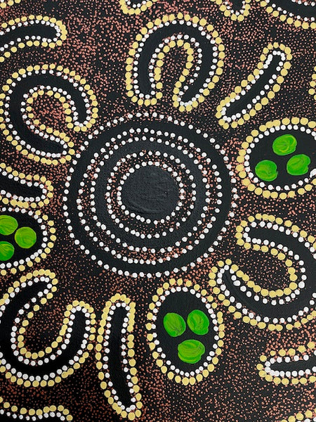 #386 Women's Ceremony (Earth) - CAROLINE NUMINA : Aboriginal Art:  41cm x 56cm