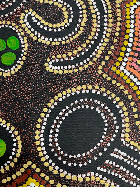 #386 Women's Ceremony (Earth) - CAROLINE NUMINA : Aboriginal Art:  41cm x 56cm