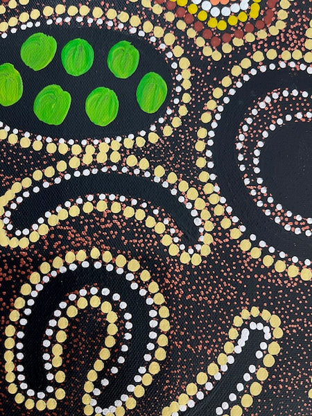 #386 Women's Ceremony (Earth) - CAROLINE NUMINA : Aboriginal Art:  41cm x 56cm