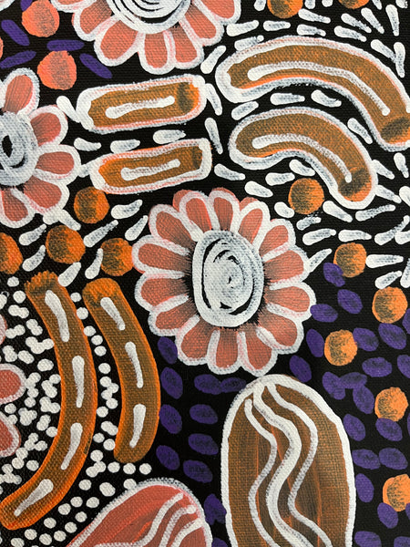 #301 Woman's Ceremony (Pastels) - JESSIE BIRD NGALE  : Aboriginal Art: 35cm x 50cm