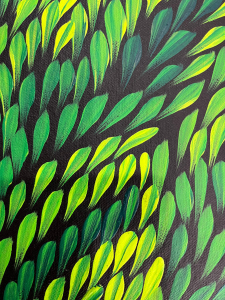 #61 Bush Medicine Leaves (Green) - CAROLINE NUMINA : Aboriginal Art: 51 x 98cm
