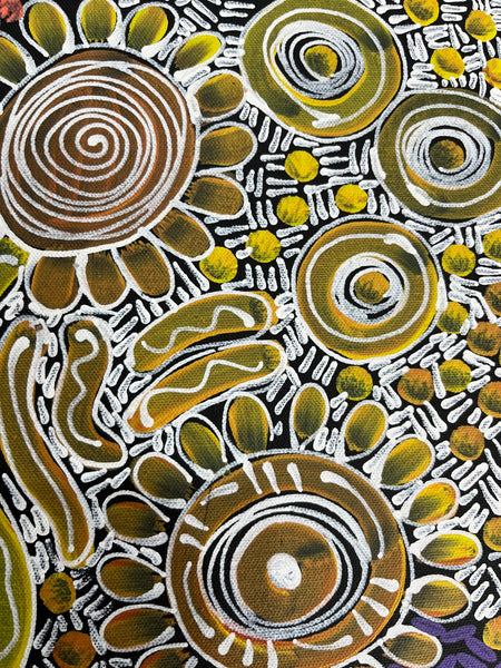 #323 Woman's Ceremony - JESSIE BIRD NGALE  : Aboriginal Art: 39cm x 53cm
