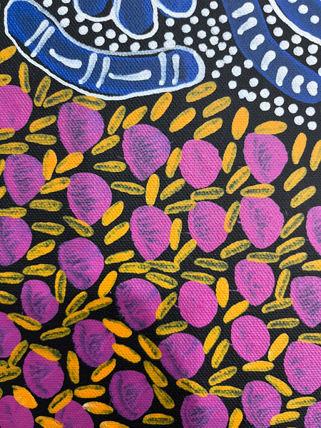#269 Woman's Ceremony - JESSIE BIRD NGALE  : Aboriginal Art: 39cm x 53cm
