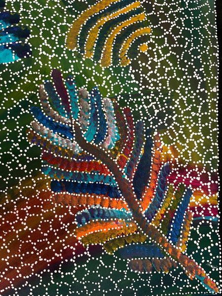 #376 Yam Seed Dreaming Artist: JEDDA PURVIS KNGWARREYE:  105cm x 94cm