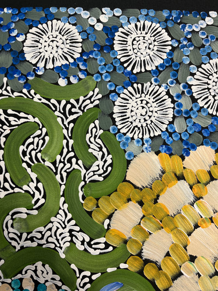 #325 - WOMEN'S CEREMONY (Multi) - Karen Bird Ngale - 67cm x 74cm