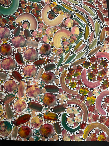 #117 Bush Yam Dreaming (Pastels) - RACHAEL NAMBULA: Aboriginal Art 70cm x 92cm