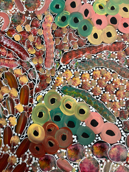 #117 Bush Yam Dreaming (Pastels) - RACHAEL NAMBULA: Aboriginal Art 70cm x 92cm