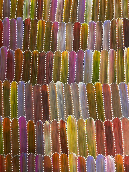 #284 Seeded Bush Yams (Multi) ARTIST: DULCIE LONG PWERLE 107CM X 76CM