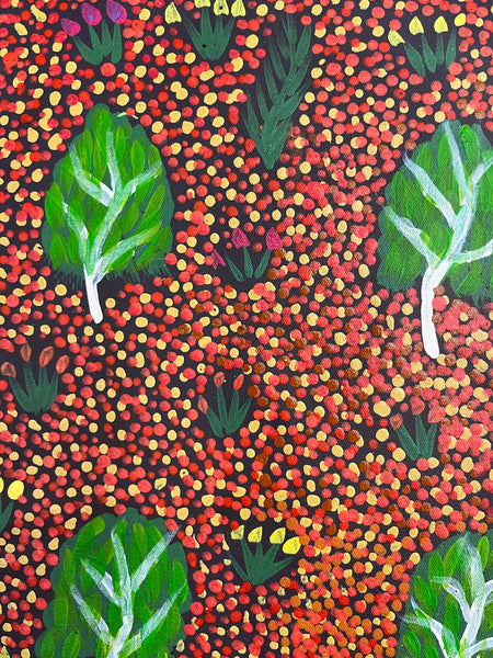 #383 My Grandmothers Country - ARTIST: HELEN RUBUNTJA 95cm x 73cm
