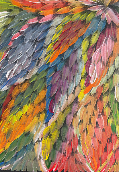 #38 Bush Medicine Leaves  (Multi) - CAROLINE NUMINA : Aboriginal Art: 49x90cm