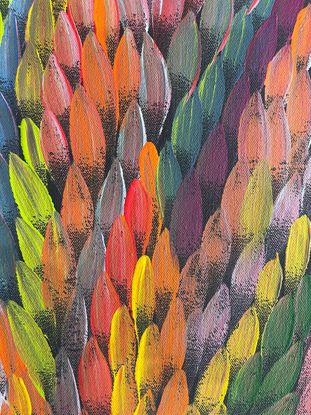#38 Bush Medicine Leaves  (Multi) - CAROLINE NUMINA : Aboriginal Art: 49x90cm