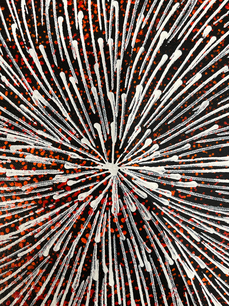 #200 Bush Medicine Seeds (Red/Whites) - SHARON NUMINA : Aboriginal Art: 43x55cm