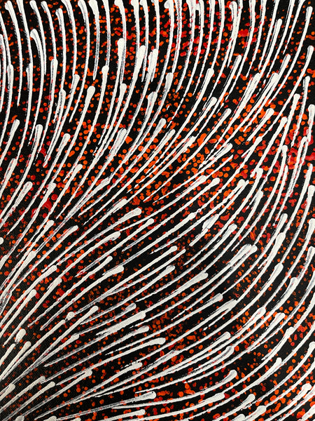 #200 Bush Medicine Seeds (Red/Whites) - SHARON NUMINA : Aboriginal Art: 43x55cm