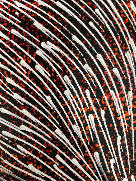 #200 Bush Medicine Seeds (Red/Whites) - SHARON NUMINA : Aboriginal Art: 43x55cm