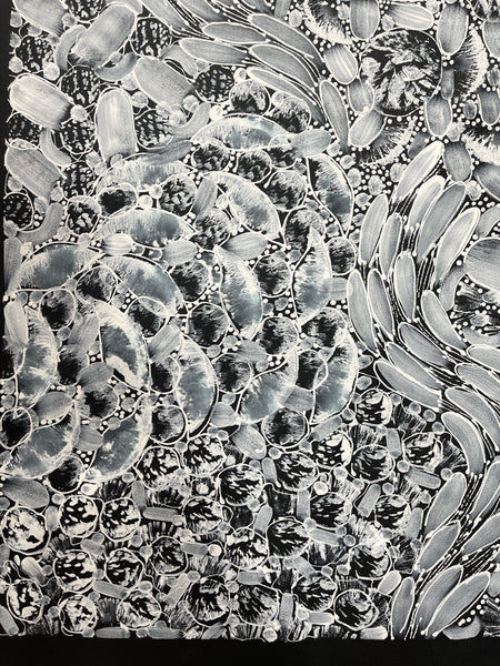 #87 Bush Yam Dreaming (Black/White)- RACHAEL NAMBULA: Aboriginal Art 73x94cm