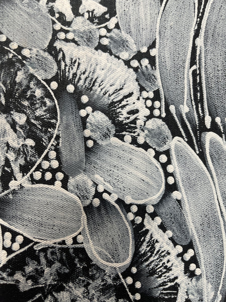 #87 Bush Yam Dreaming (Black/White)- RACHAEL NAMBULA: Aboriginal Art 73x94cm