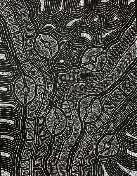 #100 My Country (Black/White) ARTIST: DELVINE PETYARRE 73cm x 94cm