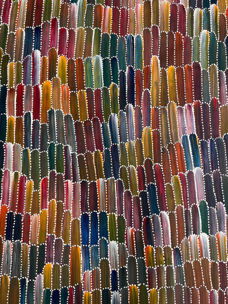 #195 Seeded Bush Yams (Multi) ARTIST: JEANNIE MILLS PWERLE  90cm x 94cm