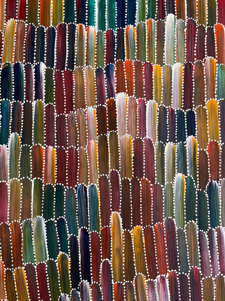 #195 Seeded Bush Yams (Multi) ARTIST: JEANNIE MILLS PWERLE  90cm x 94cm