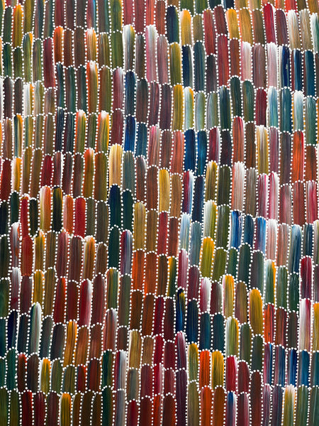 #212 Seeded Bush Yams (Multi) ARTIST: JEANNIE MILLS PWERLE  89cm x 95cm