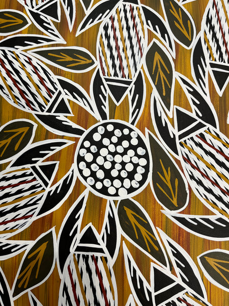 #266 Turtle Dreaming (Earth) - CHRISTINE BURARRWANGA :  92cm x 46cm