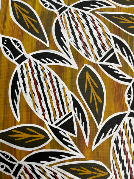 #266 Turtle Dreaming (Earth) - CHRISTINE BURARRWANGA :  92cm x 46cm