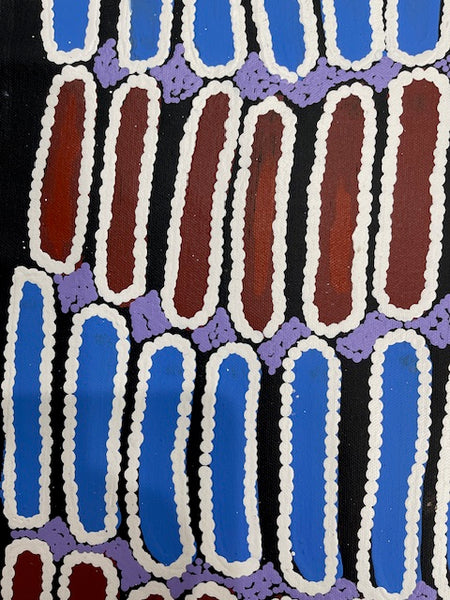 #105 Seeded Bush Yam - BARBARA PANANKA PRICE : Aboriginal Art: 52 x 46cm
