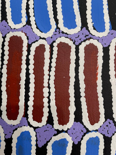 #105 Seeded Bush Yam - BARBARA PANANKA PRICE : Aboriginal Art: 52 x 46cm
