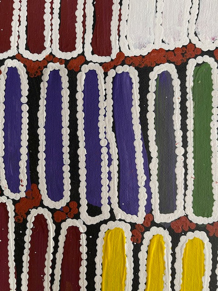 #389 Seeded Bush Yam - BARBARA PANANKA PRICE : Aboriginal Art: 90 x 150cm