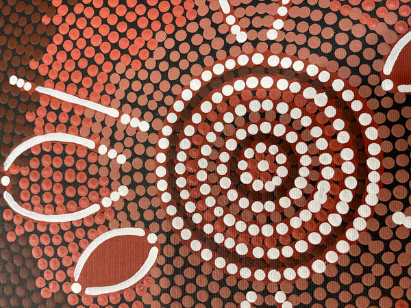 #30 Women Hunting at Waterhole (Earth) - BEVAN CLANCY TJAMPITJIMPA 26x43cm