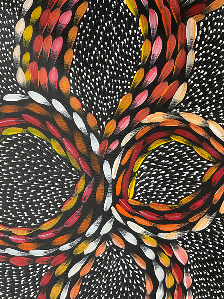 #69 Bush Medicine Leaves & Seeds (Sunset)  - Scott Duggie Aboriginal Art: 30cm x 93cm