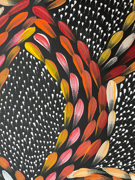 #69 Bush Medicine Leaves & Seeds (Sunset)  - Scott Duggie Aboriginal Art: 30cm x 93cm