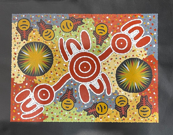 #94 Honey Ant Dreaming - JONATHAN HOCKLEY - Aboriginal Art: 40 x 30cm