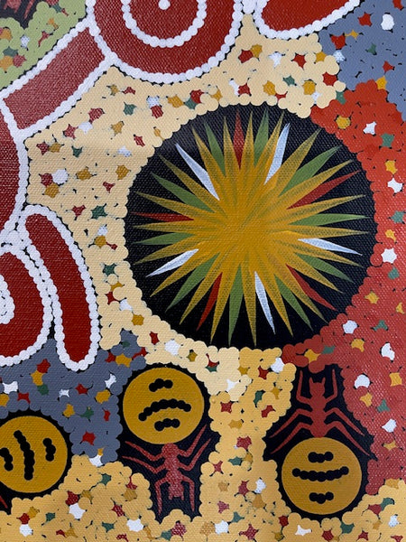 #94 Honey Ant Dreaming - JONATHAN HOCKLEY - Aboriginal Art: 40 x 30cm