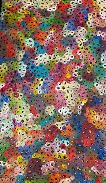 #211 Seeded Bush Melons (Multi) - LOUISE NUMINA : Aboriginal Art: 96x162cm