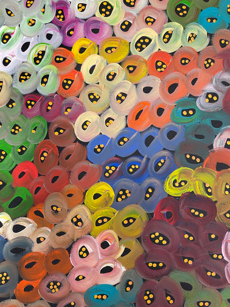 #211 Seeded Bush Melons (Multi) - LOUISE NUMINA : Aboriginal Art: 96x162cm