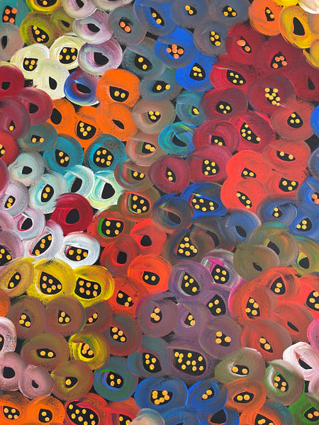 #211 Seeded Bush Melons (Multi) - LOUISE NUMINA : Aboriginal Art: 96x162cm