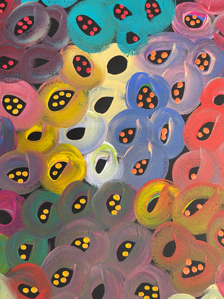 #211 Seeded Bush Melons (Multi) - LOUISE NUMINA : Aboriginal Art: 96x162cm