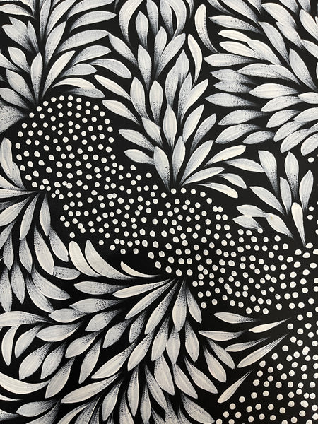 #304 Bush Medicine Leaves & Seeds (Whites) - LOUISE NUMINA : Aboriginal Art: 62x64cm