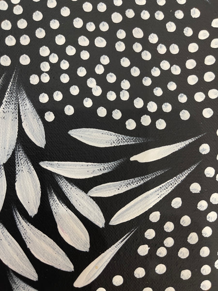 #304 Bush Medicine Leaves & Seeds (Whites) - LOUISE NUMINA : Aboriginal Art: 62x64cm