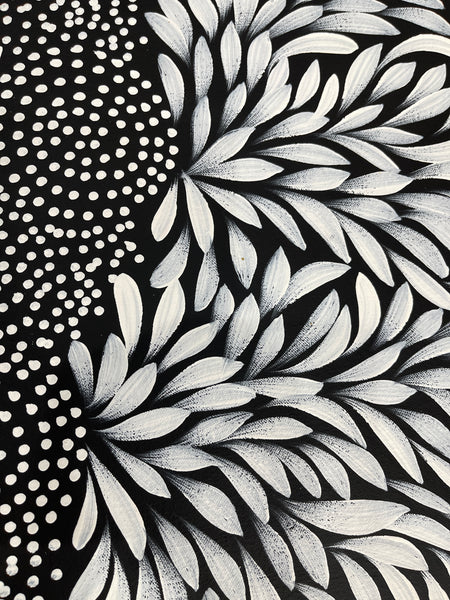 #304 Bush Medicine Leaves & Seeds (Whites) - LOUISE NUMINA : Aboriginal Art: 62x64cm