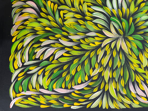 #368 Bush Medicine Leaves (Multi) - CAROLINE NUMINA : Aboriginal Art: 37x46cm