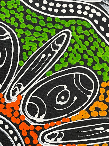 #365 My Country Dreaming (Multi) - SHARON NUMINA : Aboriginal Art: 44x58cm