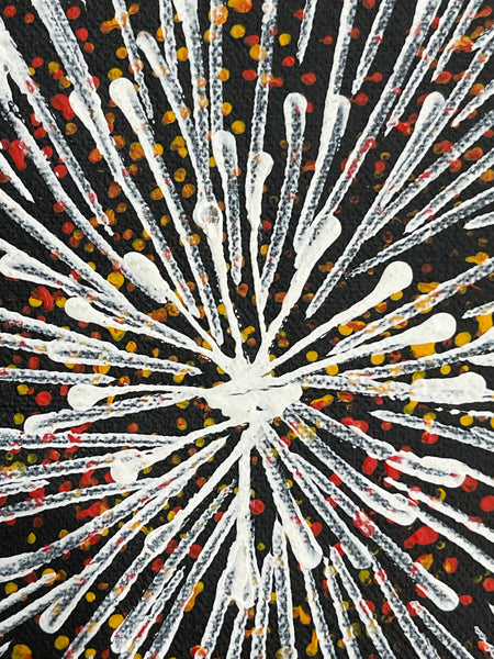 #399 Bush Medicine Seeds - SHARON NUMINA : Aboriginal Art: 43x53cm