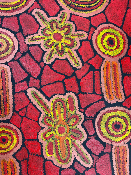 #96 Women's Ceremony (Red) - Chakayah Sultan: Aboriginal Art - 66x92cm